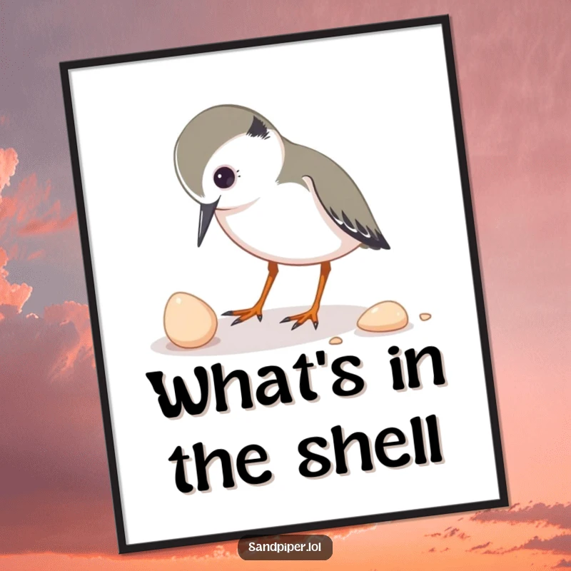 Funny digital art print of a sandpiper character inquisitively pecking at a small shell, capturing a moment of gentle exploration.