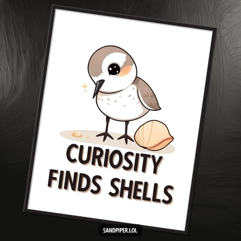 Funny Sandpiper Digital Art Print: High-quality image of a sandpiper curiously pecking at a shell, capturing a moment of gentle discovery.