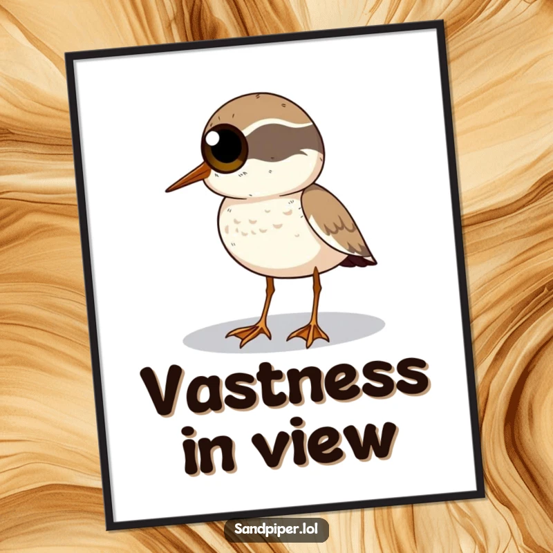 Funny Sandpiper Digital Art: A sandpiper with big eyes scans the horizon for humorous downloadable decor.