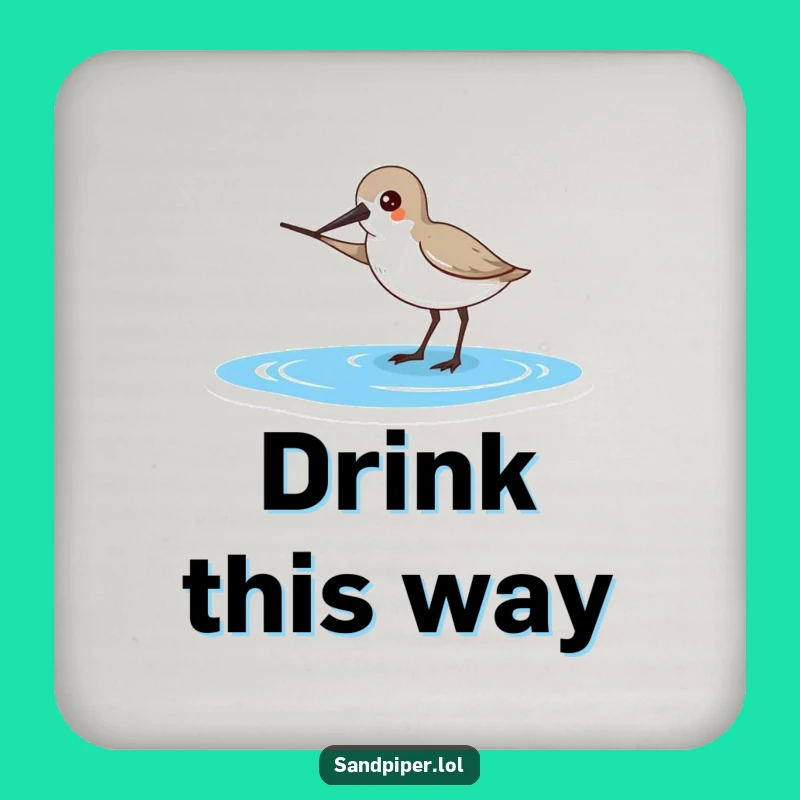 Funny Sandpiper Coasters - Pointing to Ocean, Hilarious Beach Gift Set