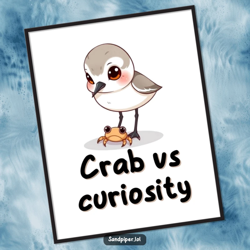 Funny sandpiper art print, curious bird eyes watching tiny crab, humorous wall decor, beach theme, gift for art lovers.