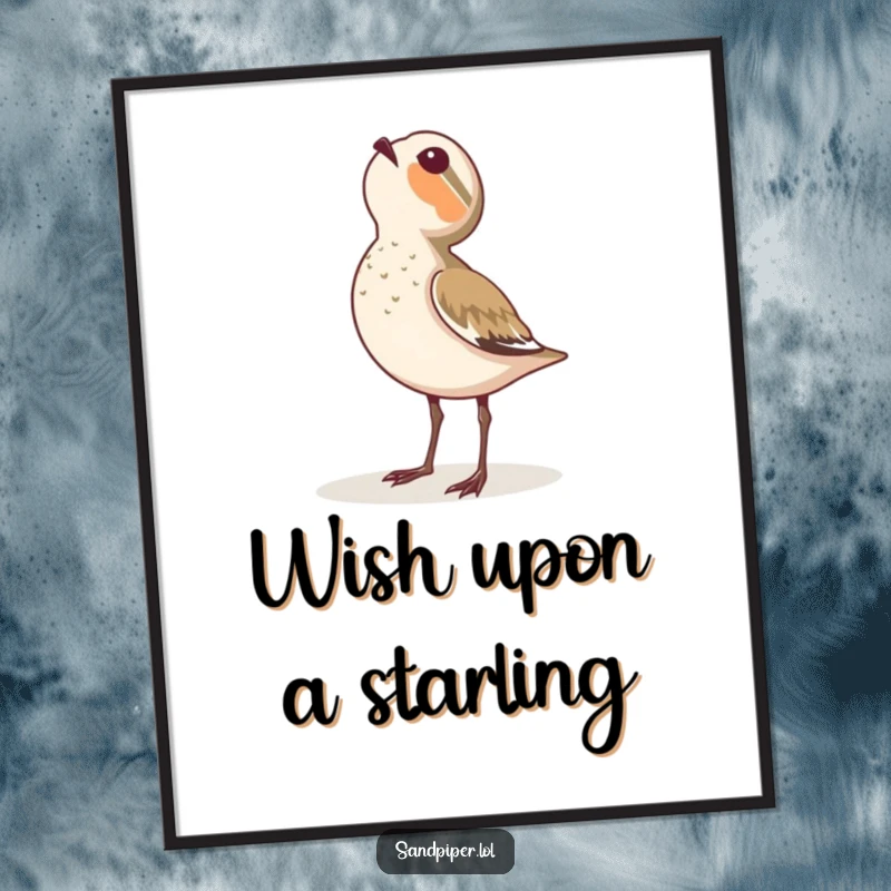 Funny poster of a sandpiper looking upwards at the sky with a sense of wonder.