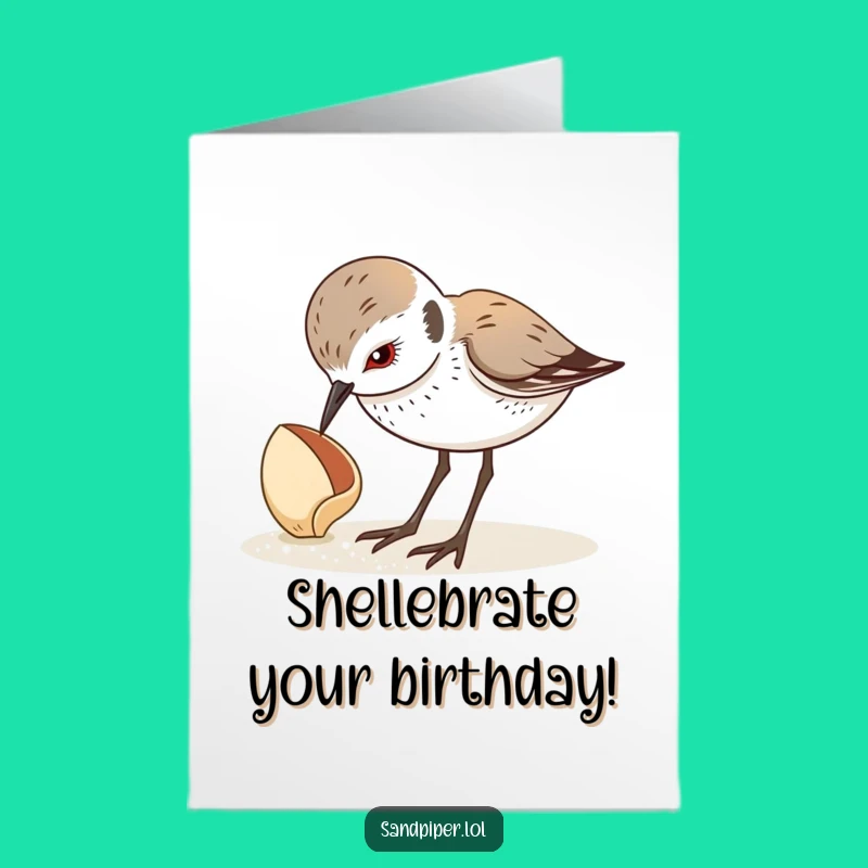 Free Printable Funny Birthday Card: Curious Sandpiper & Seashell LOL